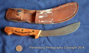 I bought a dozen six-inch beef skinners at a butcher cutlery sale. They were distributed to my hunting buddies, and used extensively.